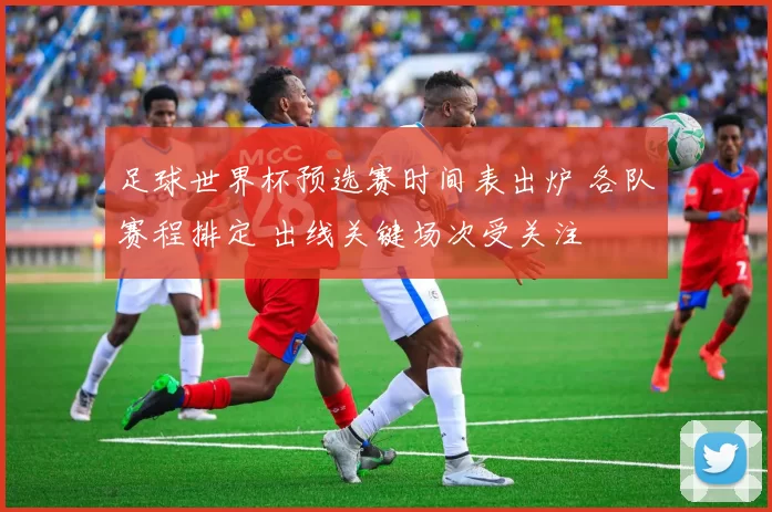 足球世界杯预选赛时间表出炉 各队赛程排定 出线关键场次受关注