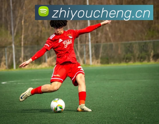 米乐官方网页版 - 米乐(中国)平台生态图